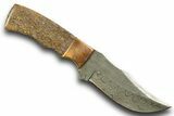 Damascus Steel Knife w/ Fossil Dinosaur Bone (Gembone) Inlays #370840-1